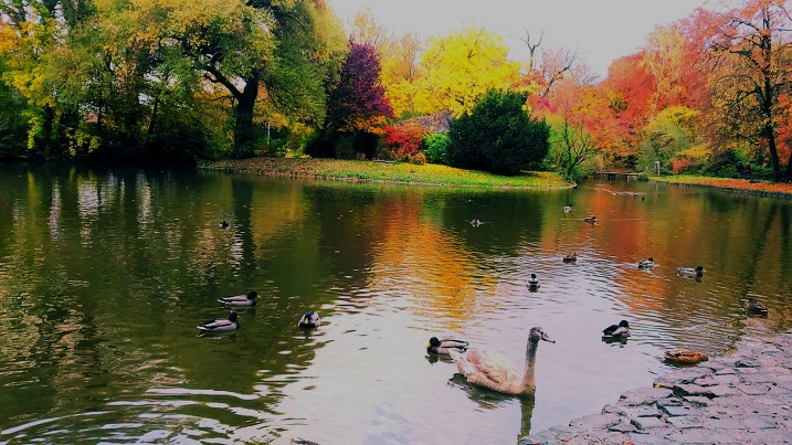 P_20161107_201149_EFF